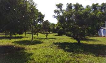 Imagem 4: Oportunidade! Vende-se um espetáculo de sítio 6 Hectares