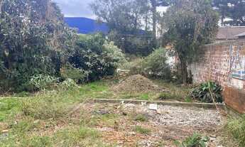 Imagem 2: Terreno 396m2 Quissisana São José dos Pinhais