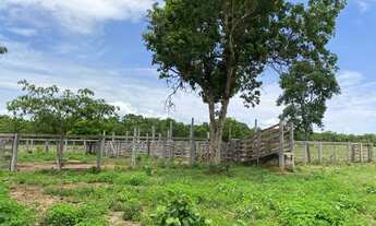 Imagem 6: Fazenda em Palmeiropolis-TO. 60 mil por alqueire