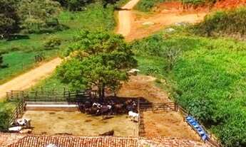 Imagem 2: Fazenda/Sítio/Chácara para venda tem 177 metros quadrados com 4 quartos. Maravilhosa