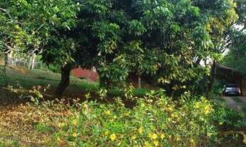 Imagem 5: Chácara Rural / Chacara Bom Sucesso