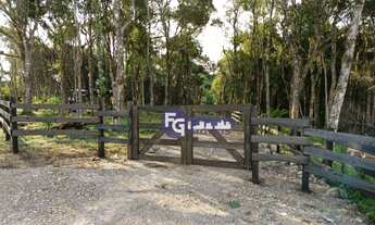 Imagem 6: Chácara com 1 dormitório à venda, 5500 m² por R$ 199.900,00 - Contenda - São José dos Pinh