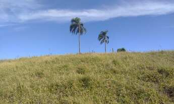 Imagem 3: M4-terrenos totalmente planos em Santa Isabel