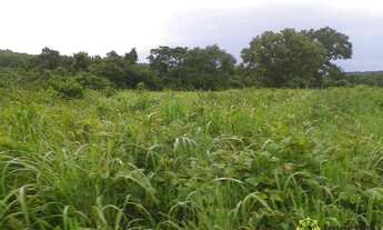 Imagem 6: Fazenda à venda, 1.800 Hectares em Dueré do Tocantins