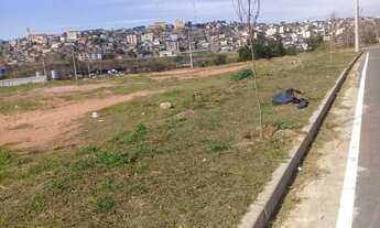 Imagem 2: Lote bairro Tamareiras