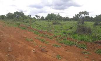 Imagem 4: Excelentes Fazendinhas Planas Registradas Financiadas Com Água Luz Lagoa Cerca na região S