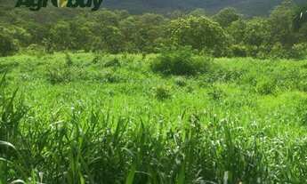Imagem 3: Fazenda localizada no município de São Salvador TO