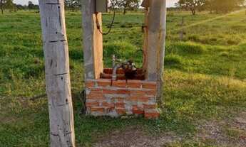 Imagem 7: Fazenda aberta à venda, 1.450 Hectares em Pium do Tocantins
