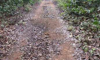 Imagem: Fazenda de 560 Hectares em Cristalândia/TO