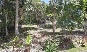 Imagem 3: Terreno à venda, 816 m² por R$ 280.000,00 - Cônego - Nova Friburgo/RJ