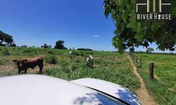 Imagem 5: Fazenda 534 hectares, 16 divisão de pasto, casa sede e casa para caseiro