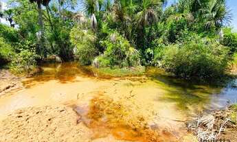 Imagem 7: Fazenda à venda, 2.172 Hectares (448 Alqueires) em Lizarda/TO