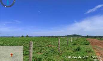 Imagem 4: Fazenda 325 Alqueires Região de Ariquemes