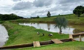 Imagem 6: Chácara em Andirá