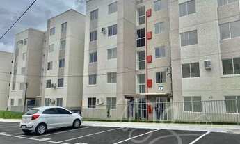 Imagem: Apartamento para aluguel tem 57 metros quadrados