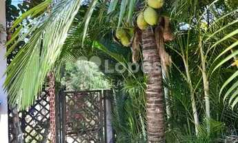 Imagem 6: Casa - Centro - Salto