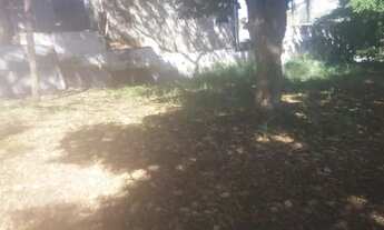 Imagem 7: Área Comercial Rua Olinda Ellis Centro Campo Grande