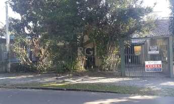 Imagem 5: Terreno para Venda - 0m², 0 dormitórios, Vila Ipiranga