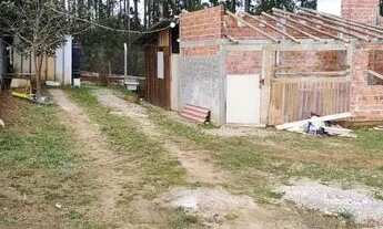 Imagem 3: Terreno Colônia Murici