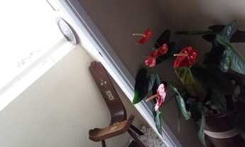 Imagem 3: Apartamento para aluguel com 75 metros quadrados com 2 quartos em Jardim Umuarama - São Pa