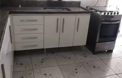 Imagem 5: São Paulo - Casa Padrão - Vila Carrão