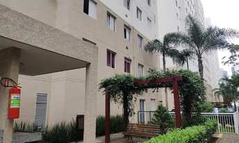 Imagem 3: Excelente Apartamento para aluguel no Campo Limpo