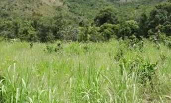 Imagem: FAZENDA 43,5 ALQ - VENDO OU ALUGO