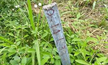 Imagem 4: Vendo lote no mirante da serra