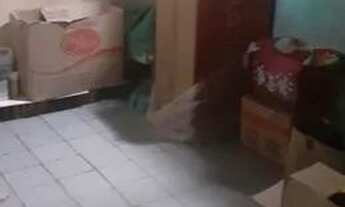 Imagem 4: Vendo Casa na Liberdade