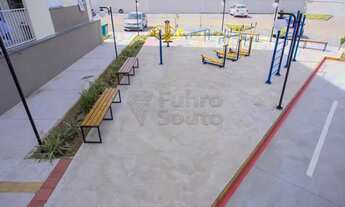 Imagem 5: Apartamento Padrão em Pelotas