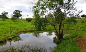 Imagem 4: Chacara em Mairipotaba com represa a 80 km de Goiânia chacaras 2 hectares aceito carro
