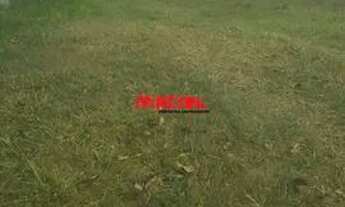 Imagem 3: Terreno Padrão em Jacareí