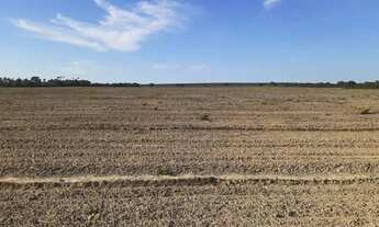 Imagem 5: Fazenda/Sítio/Chácara para venda tem 7300000 metros quadrados com 1 quarto