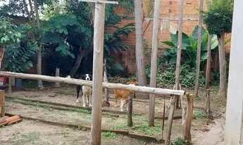 Imagem 5: CANOAS - Casa Padrão - Harmonia