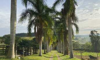 Imagem 2: Rural fazenda, sítio e chácara em Paraibuna