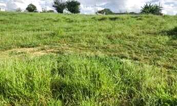 Imagem 4: Terreno Lote no Caguaçu