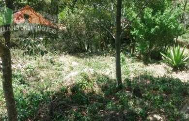 Imagem 4: REF. 200 Lindo terreno na Cachoeira do Bom jesus