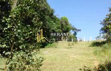 Imagem 3: Excelente Terreno em Vargem Grande