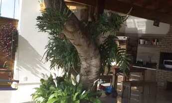 Imagem 6: CASA DE 300 M² DE ÁREA CONSTRUÍDA COM 3 DORMITÓRIOS SENDO 1 SUÍTE NO BAIRRO MANDAQUI EM SÃ