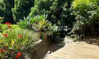 Imagem 7: Casa - Centro - Salto