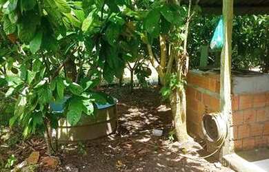 Imagem 4: Vende-se uma casa no limão