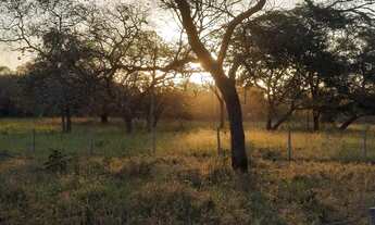 Imagem 2: Lotes na beira do rio em rochedo ms