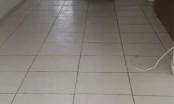 Imagem 2: Alugo Casa no Sanatorio