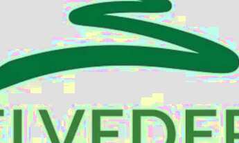 Imagem 7: Oportunidade Belvedere II