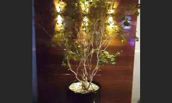 Imagem 7: Sobrado com 3 dormitórios à venda, 330 m² por R$ 950.000 - Parque Residencial Jaguari - Am