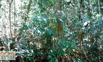 Imagem 5: Terreno / lote com venda por R$295.000