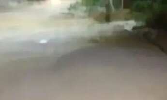 Imagem 4: Casa Casa com 2 dormitórios