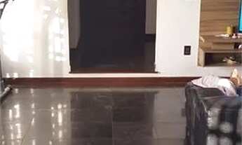 Imagem 2: Casa - Jardim Chapadão - Campinas