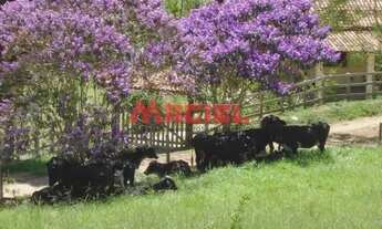 Imagem 2: Rural fazenda, sítio e chácara em Paraibuna