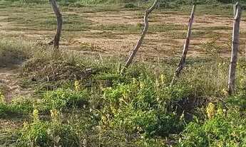 Imagem 4: Vendo terrenos na praia da caueira a 250 metros da praia na melhor localização